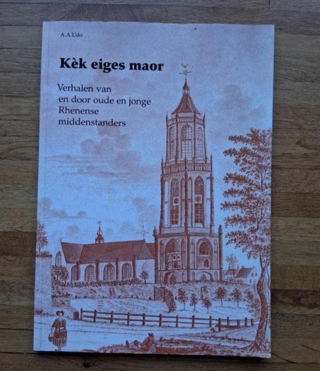 rhenen geschiedenis fotoboek en informatie, Ophalen of Verzenden, Zo goed als nieuw