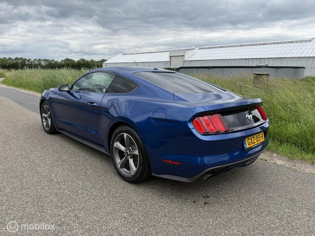 Ford Mustang 2.3 EcoBoost / Focal / Camera / Stoelventilatie, Achterwielaandrijving, Gebruikt, Euro 6, 4 cilinders