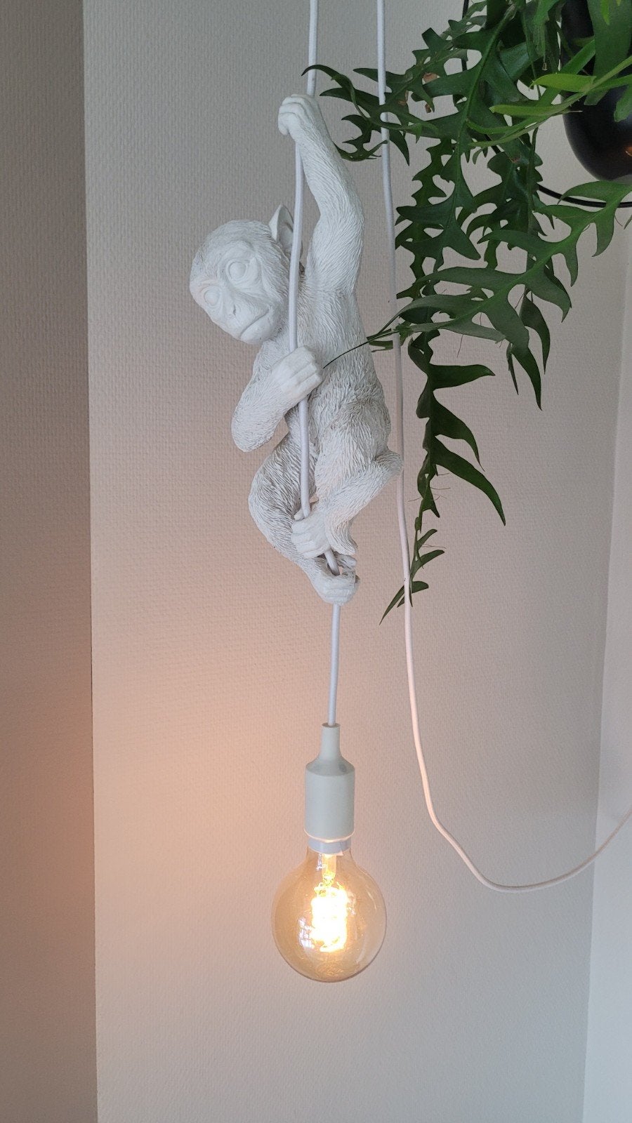 Hanglamp aapje, Ophalen