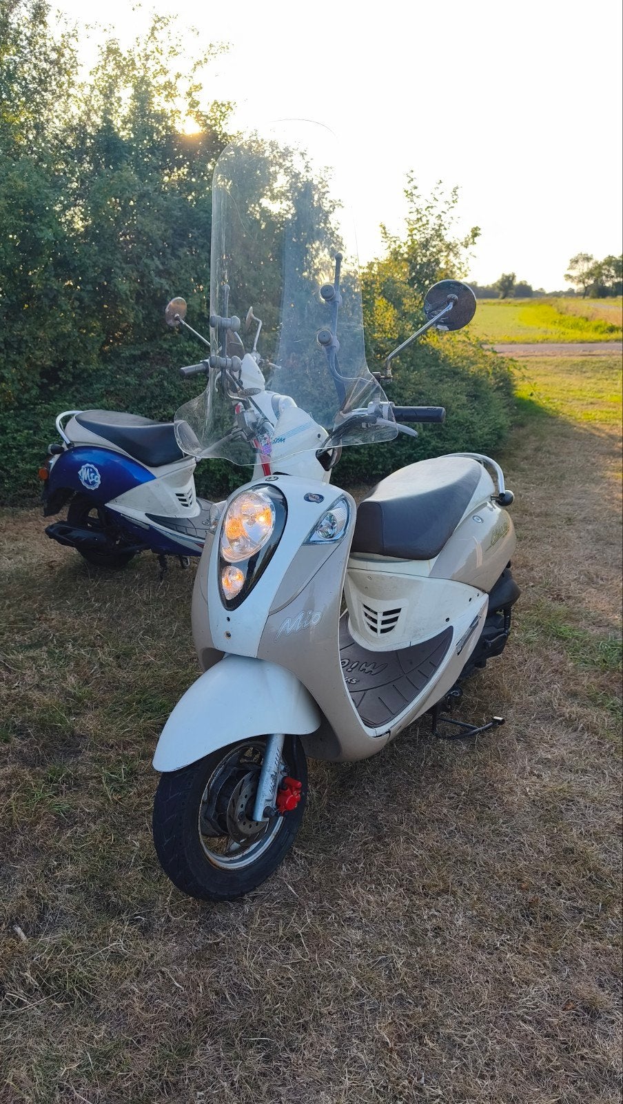 sym mio geel kenteken, Fietsen en Brommers, Scooters | SYM, Mio, Maximaal 45 km/u, Ophalen of Verzenden, Zo goed als nieuw
