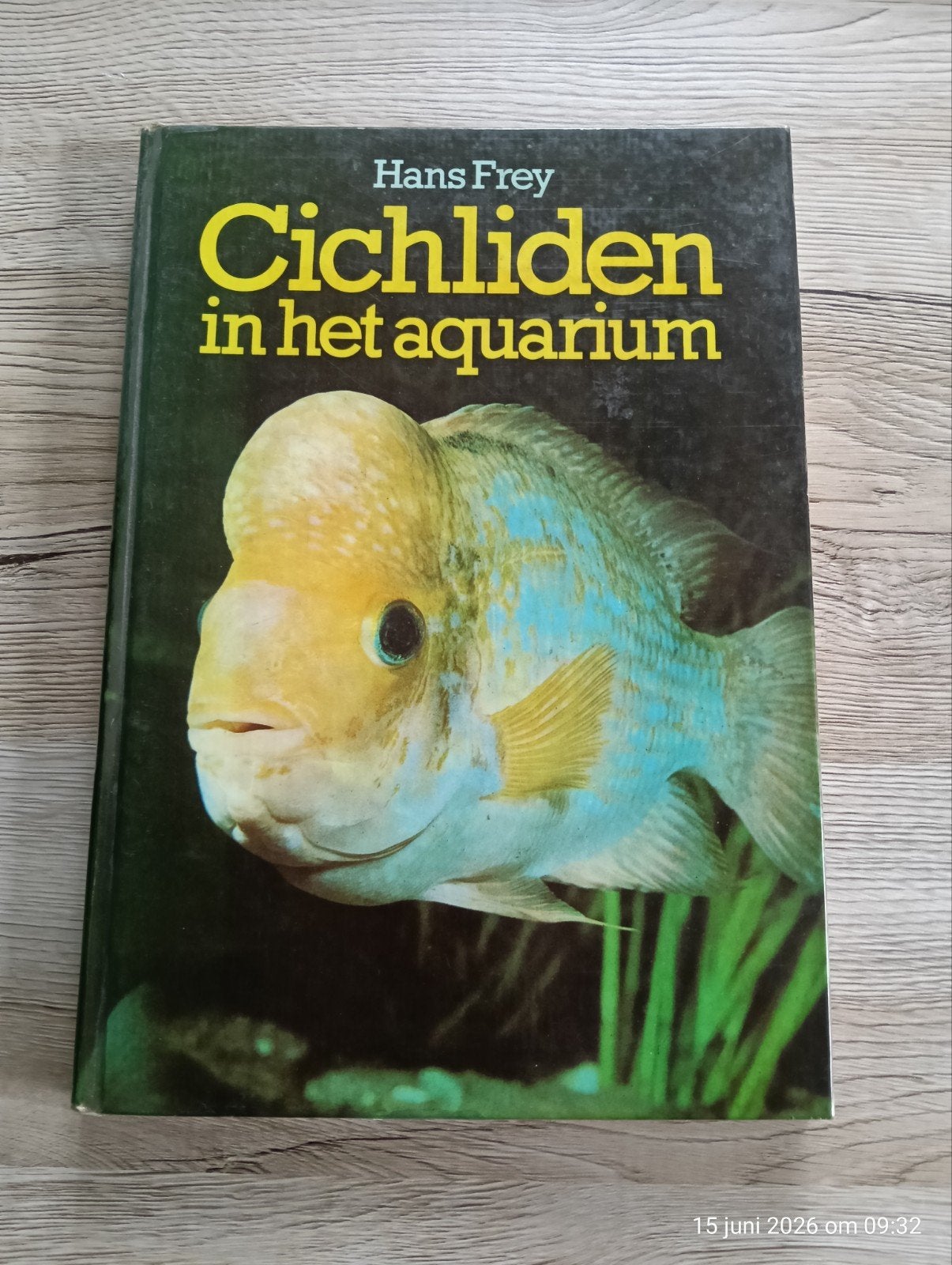 Cichliden in het aquarium, Ophalen of Verzenden, Gebruikt