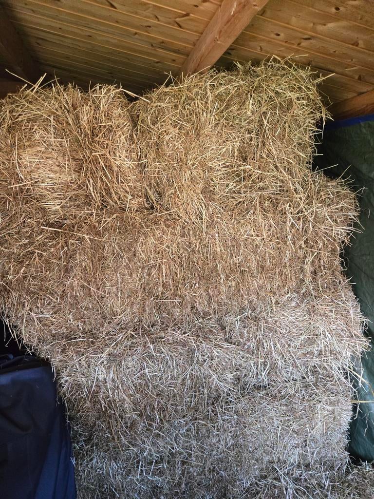 30 kleine balen graszaadhooi, Dieren en Toebehoren, Dierenvoeding, Ophalen, Vee