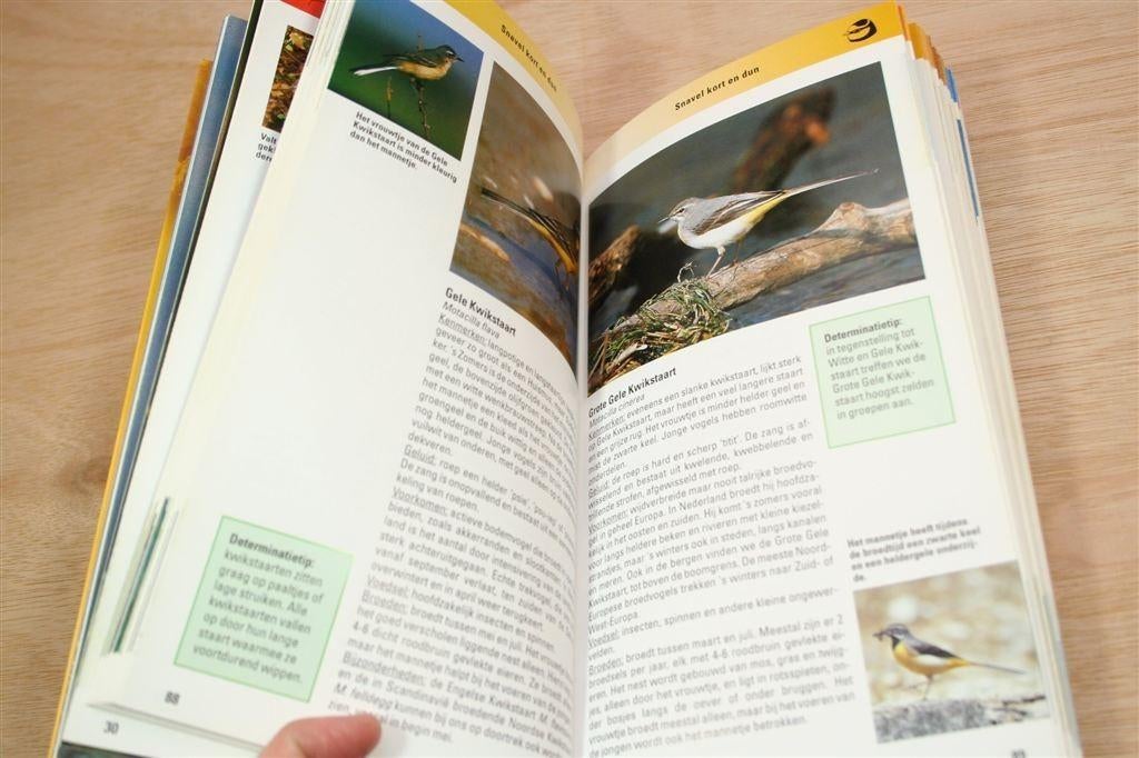 Vogels — Observeren, Herkennen, Beschermen [ANWB], Boeken, Ophalen of Verzenden, Gelezen, Vogels