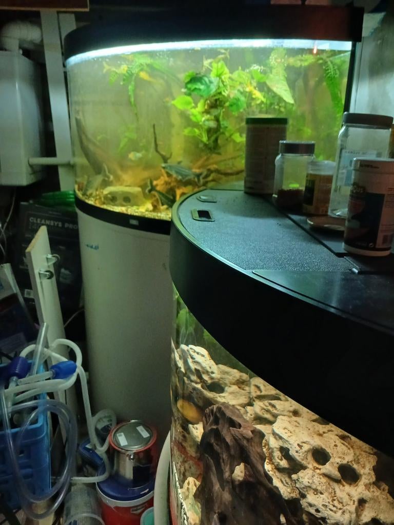Aquarium Juwel Trigon 350L, Dieren en Toebehoren, Ophalen, Leeg aquarium