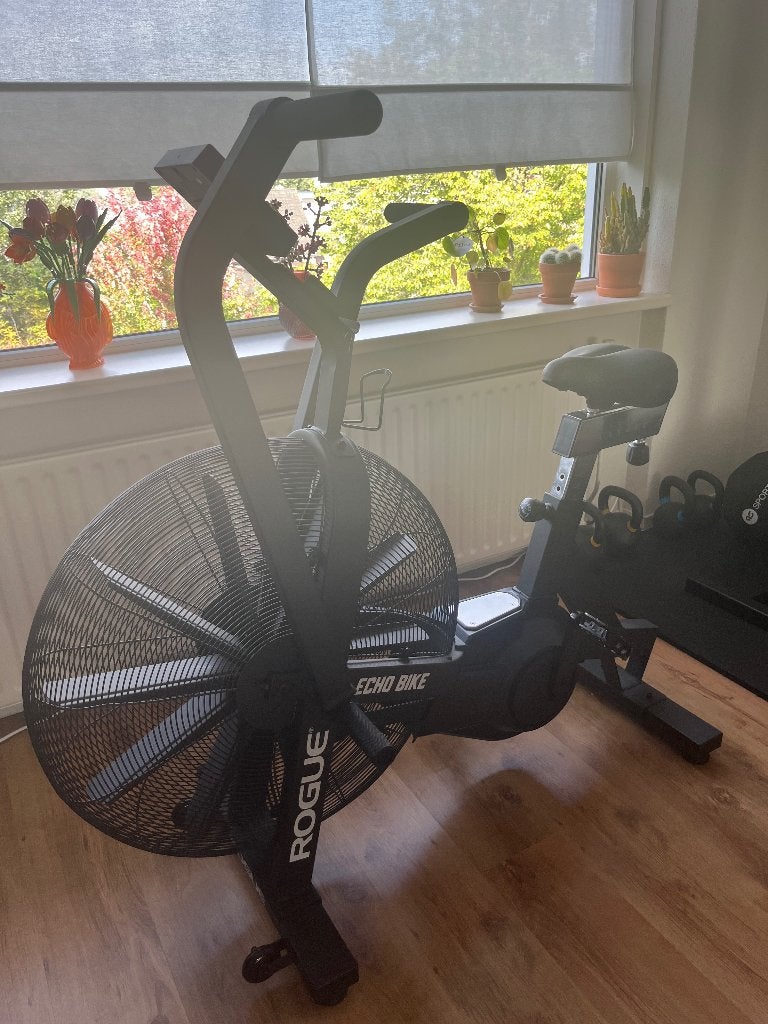Rogue Echo Bike, Sport en Fitness, Ophalen, Benen, Zo goed als nieuw, Airbike