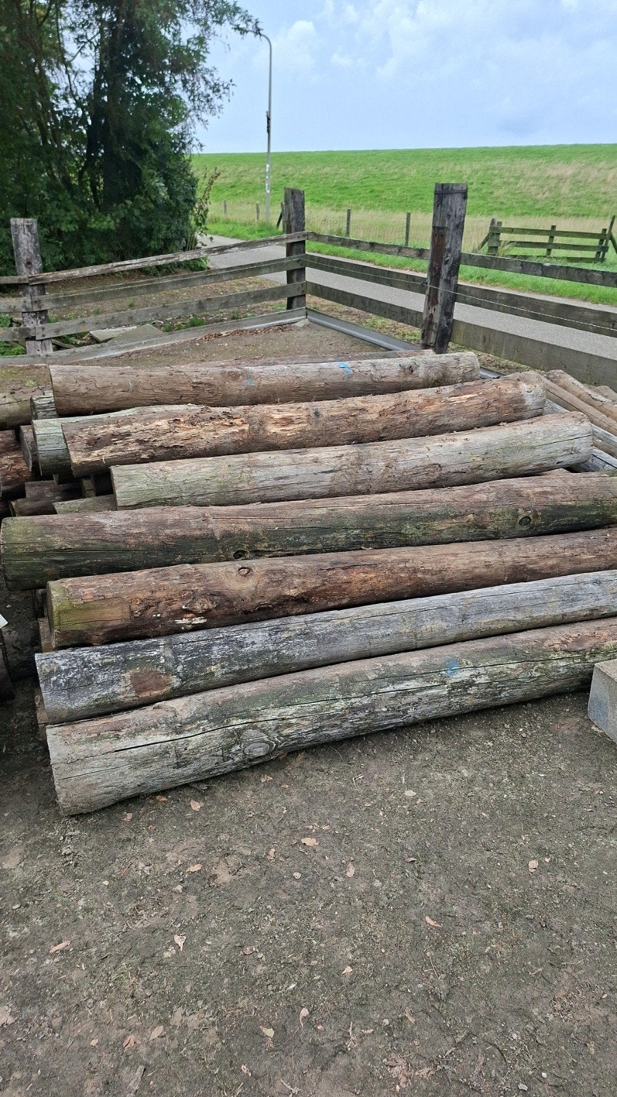 40 stuks zware kastanje rondpalen – 180-210 cm – Ø17-24 cm, Ophalen, Gebruikt, Balk, Overige houtsoorten
