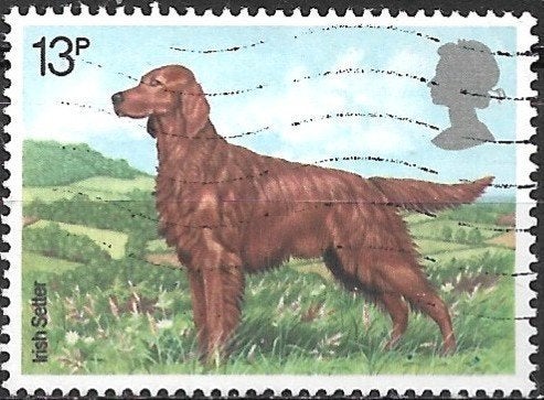Engeland 1979 mi.784 zoogdier, hond IERSE SETTER nom.13p, Verzenden, Gestempeld