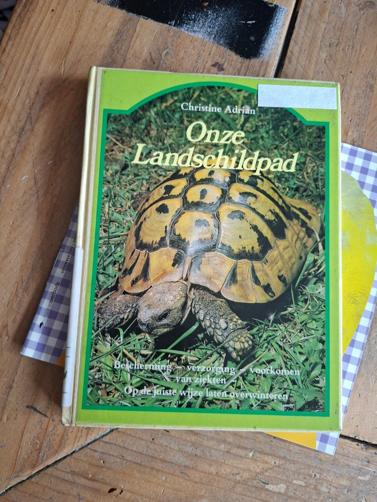 Onze Landschildpad - Christine Adrian (Boek), Ophalen of Verzenden, Gelezen, Reptielen of Amfibieën, Christine Adrian