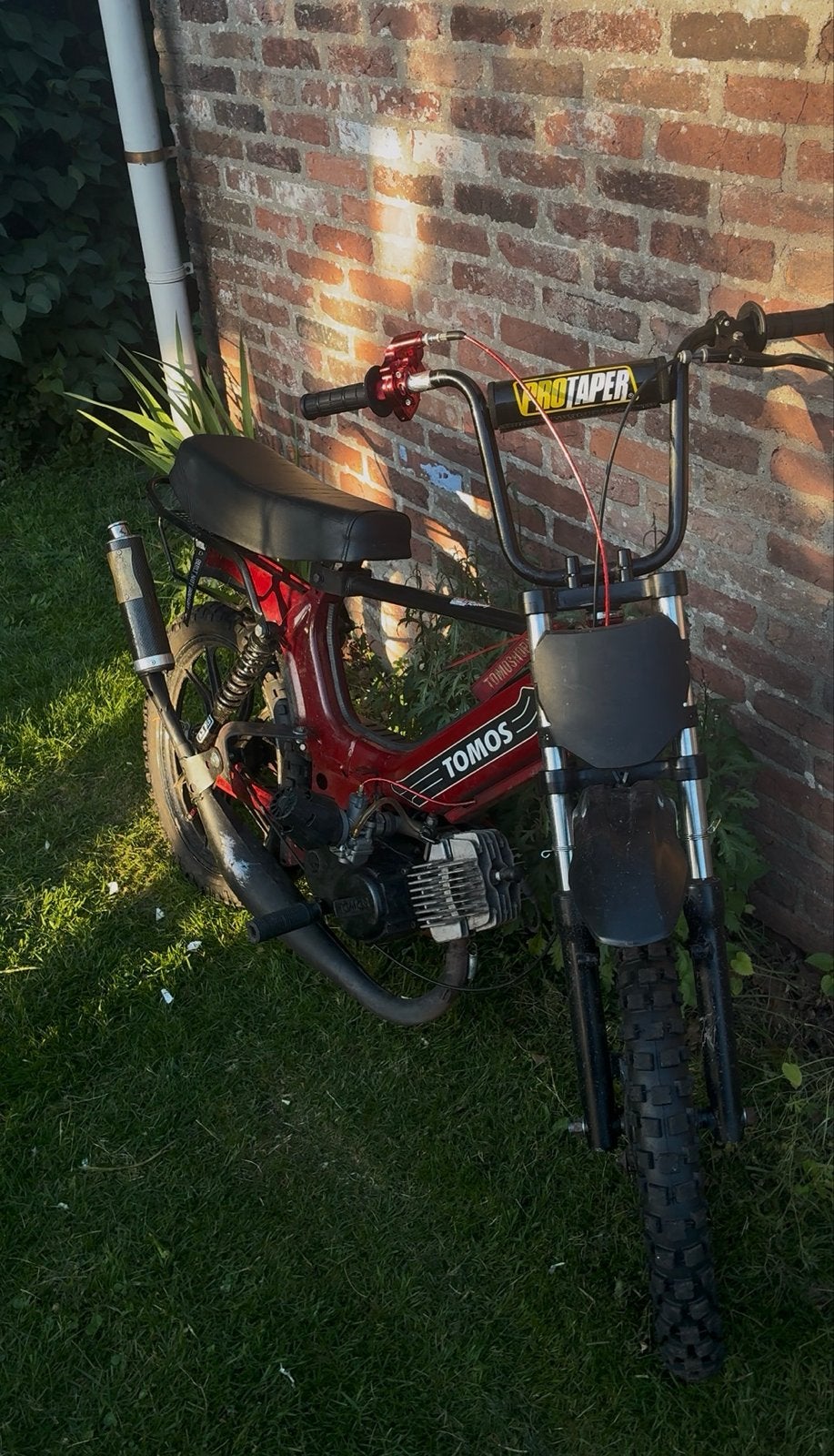 Tomos a3 65cc cross brommer OOK TERUIL TEGEN 2takt scooter, Ophalen, Gebruikt, Maximaal 25 km/u, Overige modellen