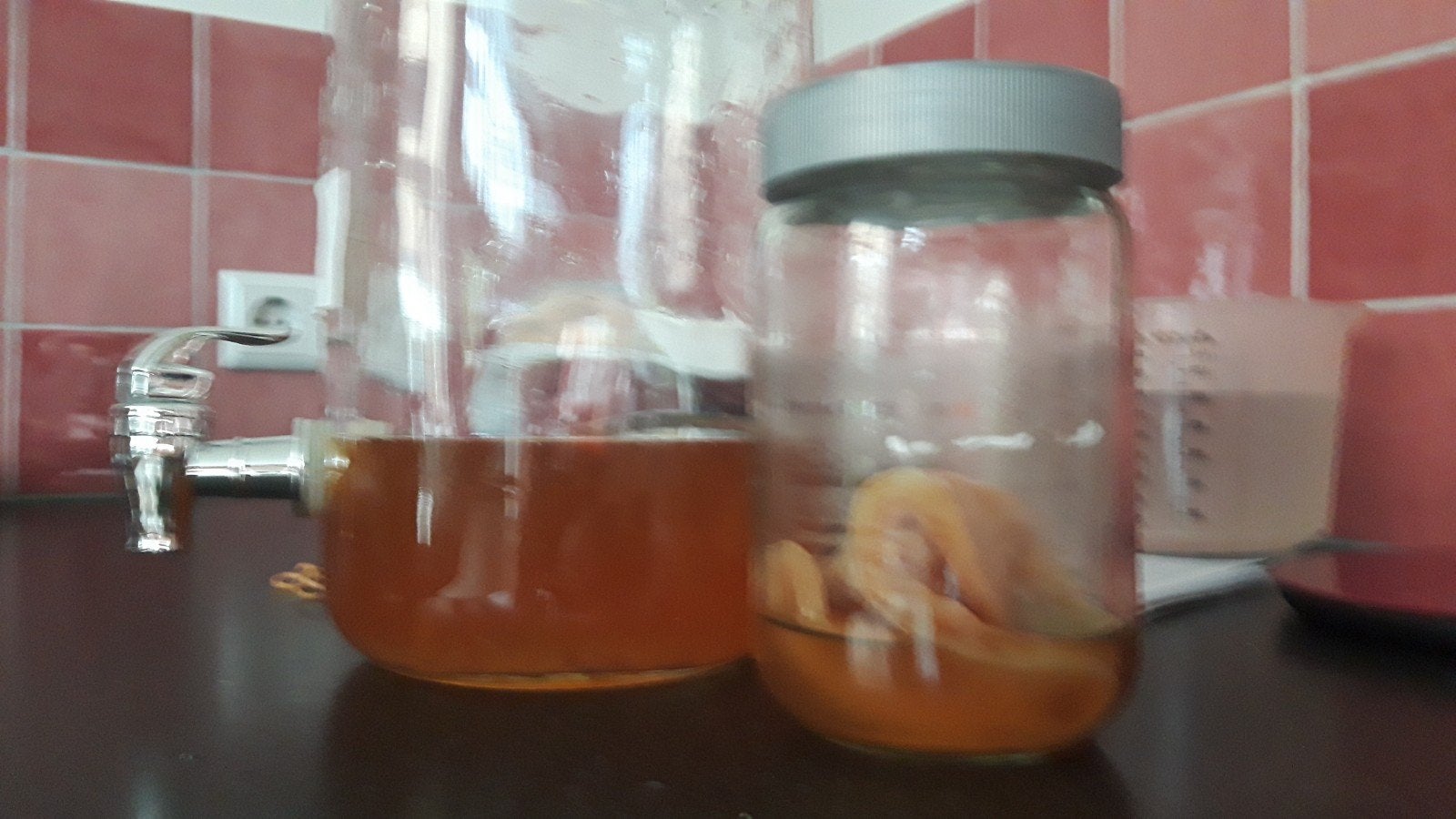 Kombucha zwam, Ophalen of Verzenden