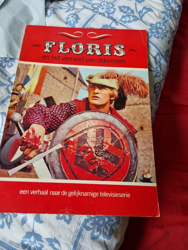 Floris en het verraad van Oldenstein - Boek, Boeken, Avontuur en Actie, Ophalen of Verzenden