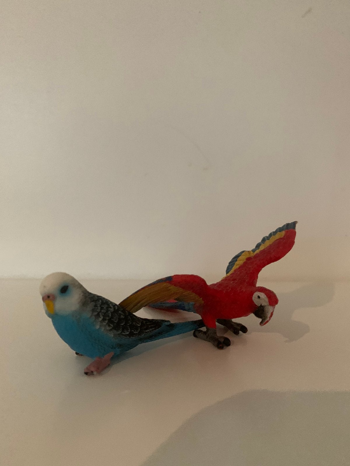 Een mojo parkiet en een schleich ara, Mannelijk, Parkiet