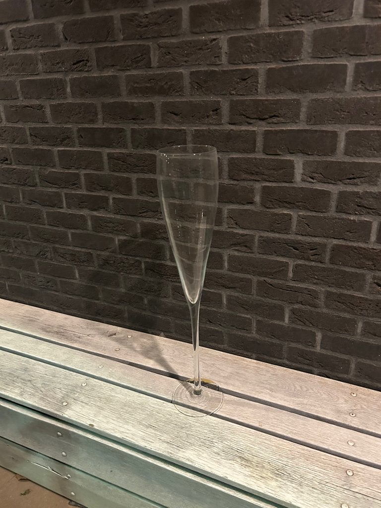 champagne glas groot, Verzamelen, Glas en Borrelglaasjes, Ophalen of Verzenden, Zo goed als nieuw, Overige typen