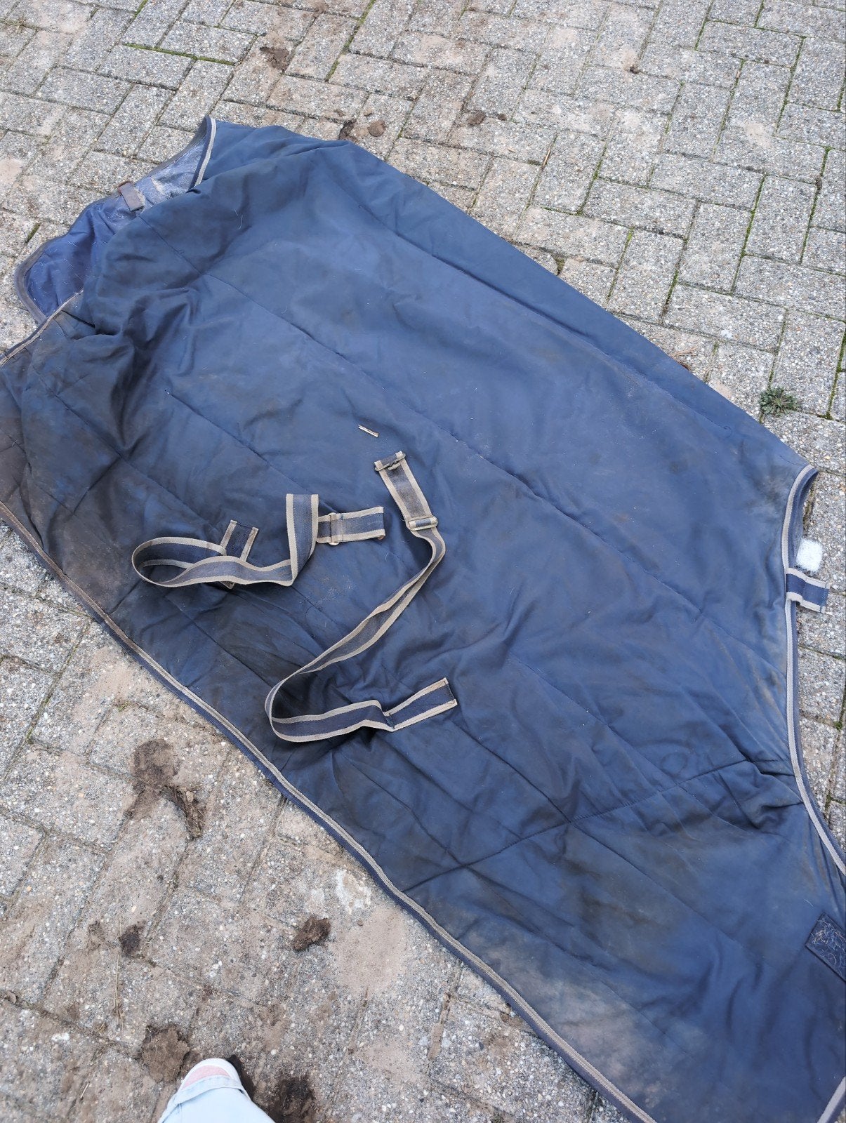 bucas 150 gram onder deken, Ophalen of Verzenden