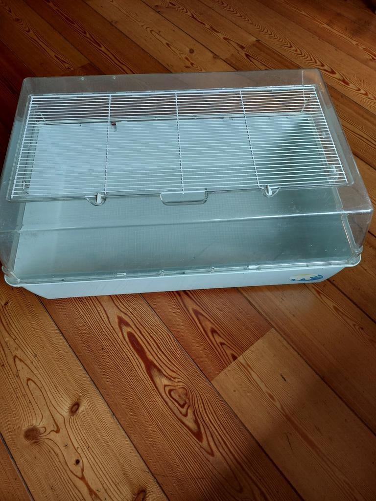 Caviakooi wit, Dieren en Toebehoren, Knaagdieren en Konijnen | Hokken en Kooien, Minder dan 60 cm, Kooi, Gebruikt, Ophalen of Verzenden