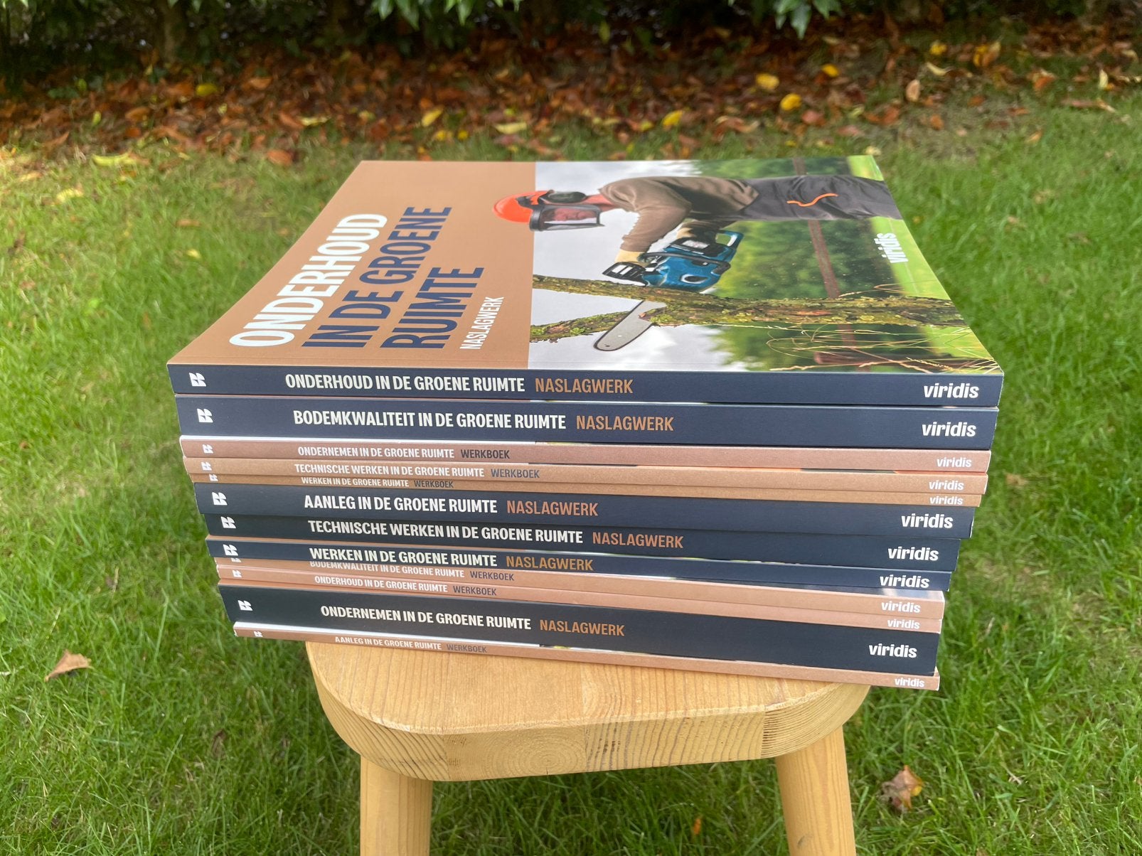 Boeken viridis, Ophalen, Beta, Zo goed als nieuw, MBO