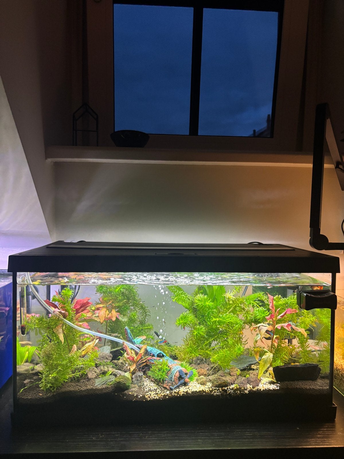 Super fish aquaria’s, Ophalen, Nieuw, Leeg aquarium