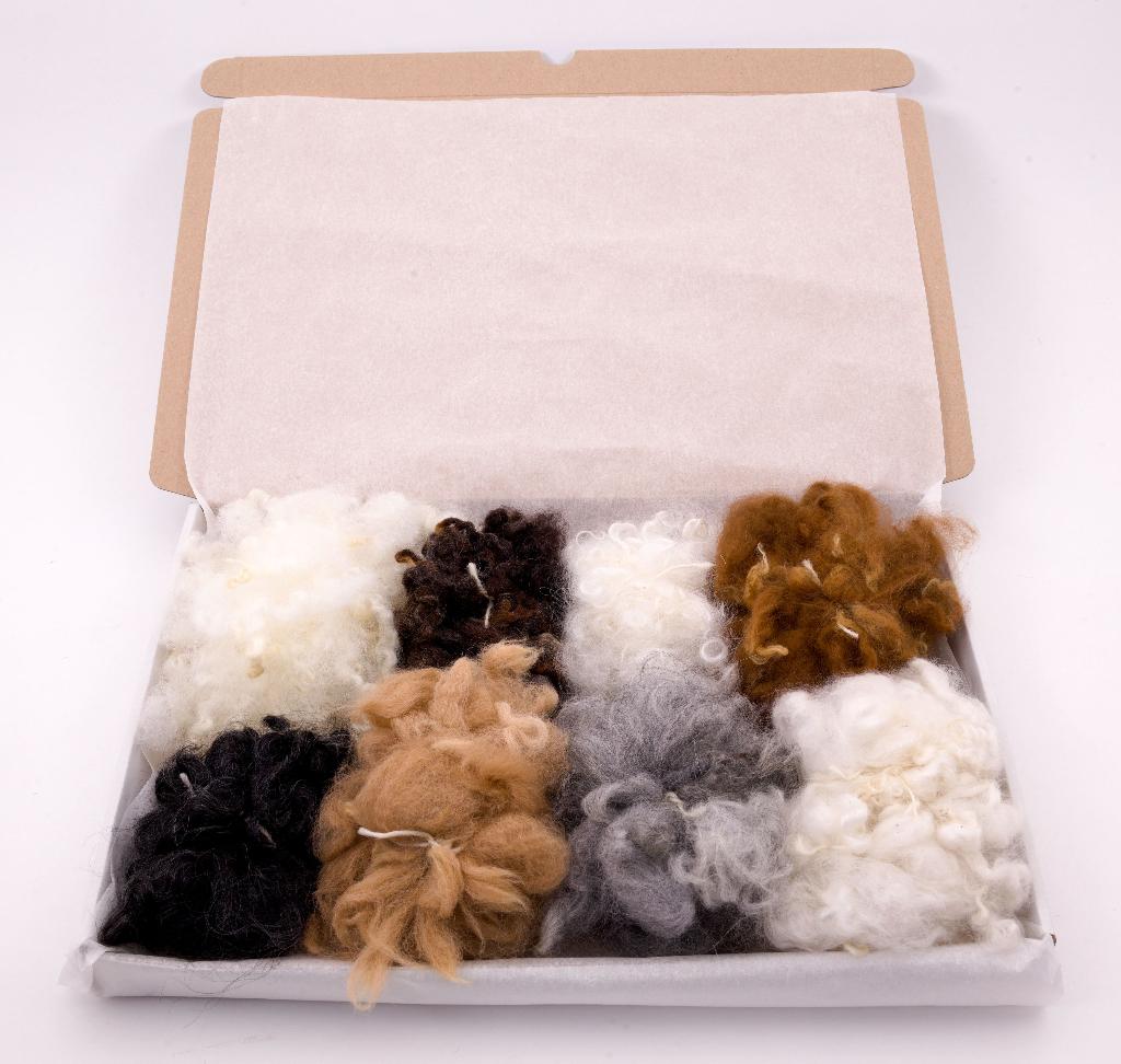 Opruiming: Wolbox met assortiment krullen en lokken, Ophalen of Verzenden, Nieuw