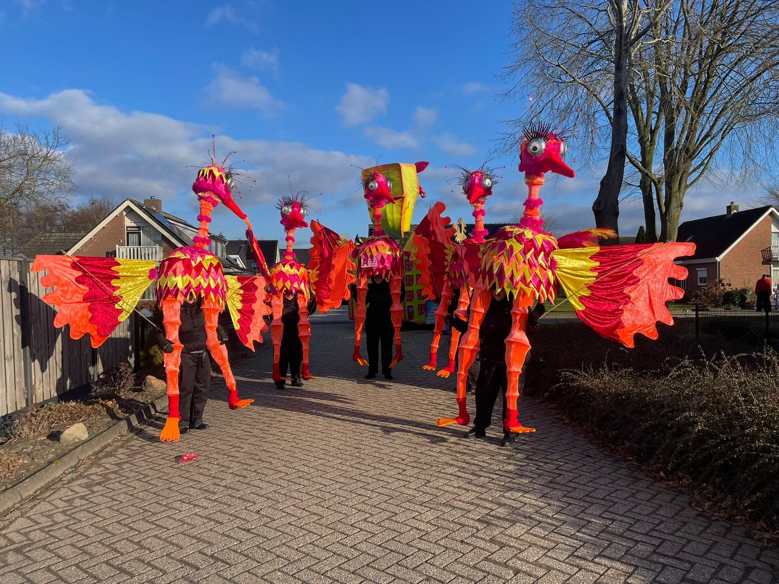 Vogels  carnaval, Ophalen, Zo goed als nieuw, Carnaval, Kleding
