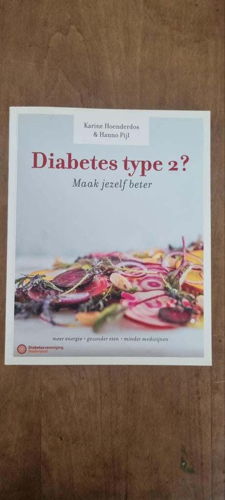 Diabetes type 2? Maak jezelf beter - Karine Hoenderdos, Ophalen of Verzenden, Zo goed als nieuw, Ziekte en Allergie, Karine Hoenderdos & Hanno Pijl