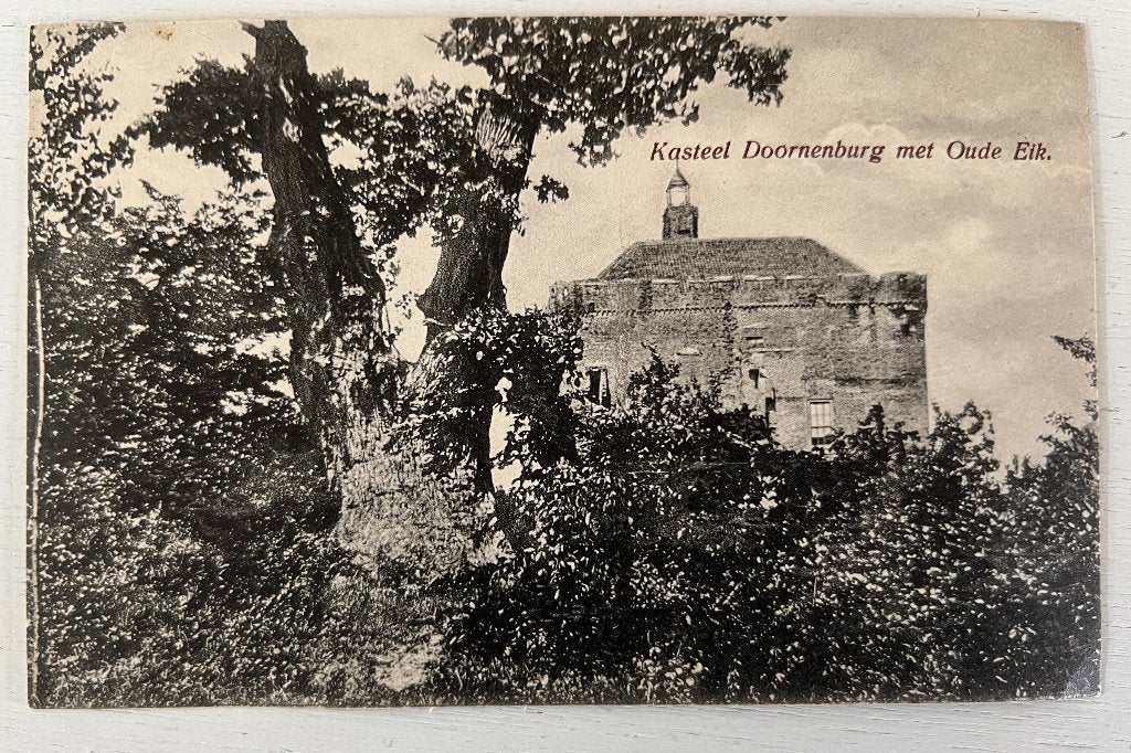 Oude Ansichtkaart - Doornenburg - Kasteel met Oude Eik, Verzamelen, Ansichtkaarten | Nederland, Ongelopen, Gelderland, Voor 1920
