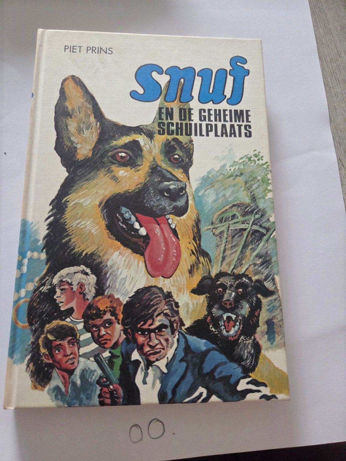 Snuf en de Geheime Schuilplaats - Piet Prins, Ophalen of Verzenden, Gelezen, Piet Prins, Fictie algemeen