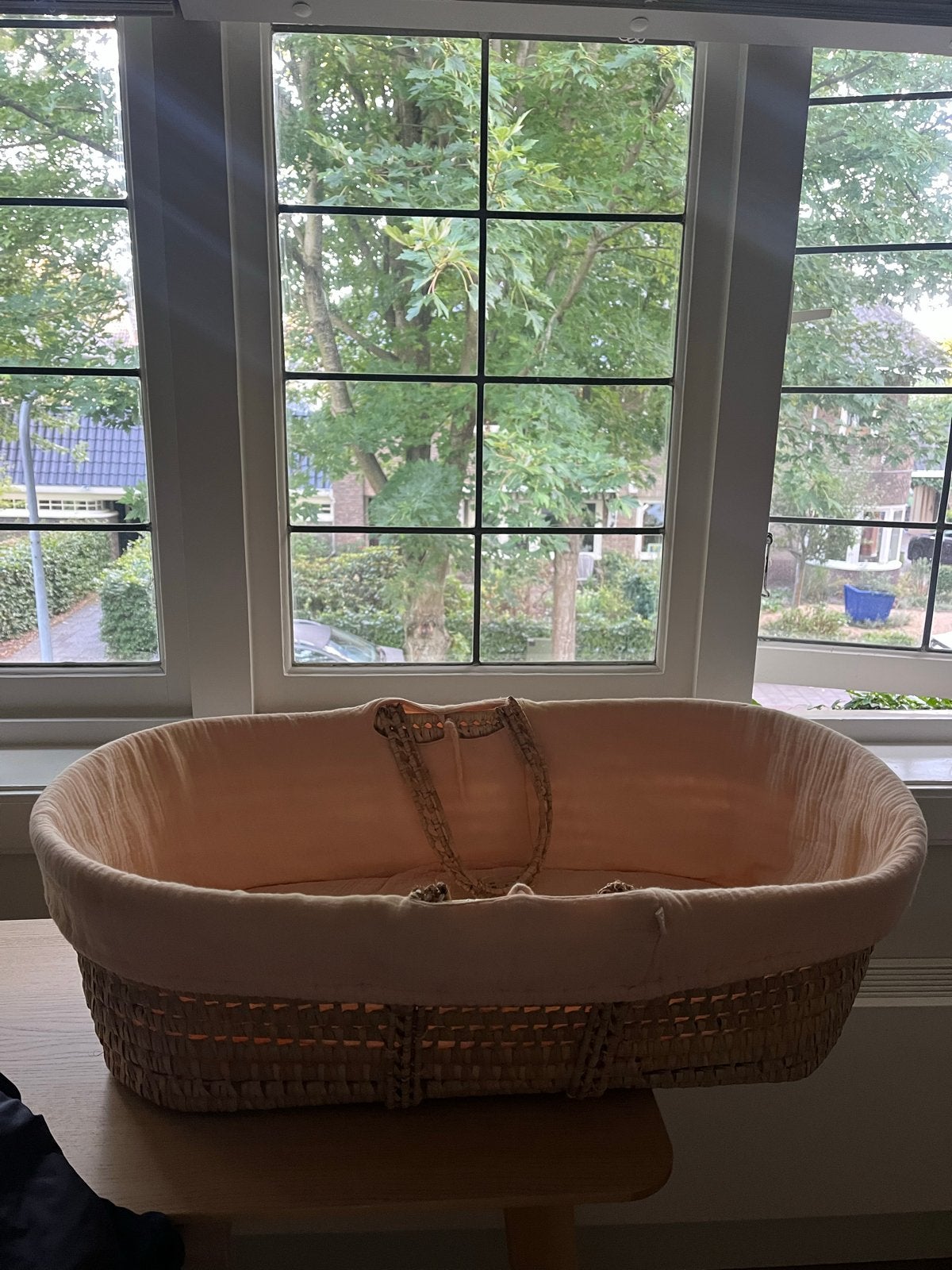 Mooie Mozesmand met bekleding, Kinderen en Baby's, Ophalen of Verzenden, Gebruikt, Wieg