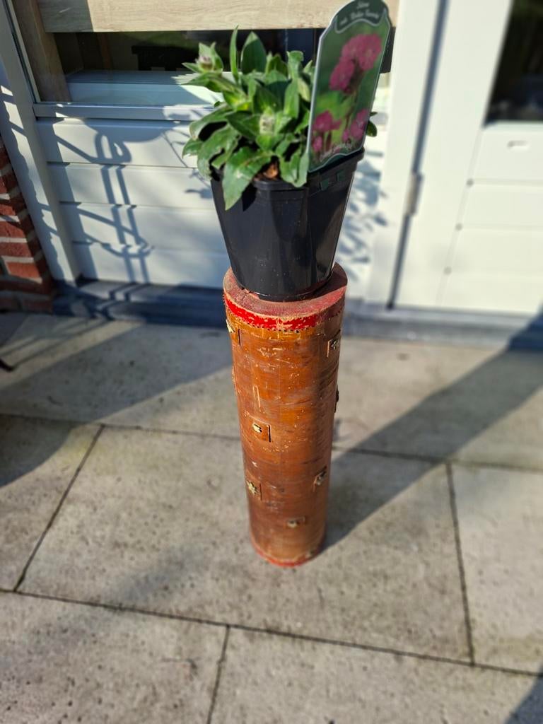 Sokkel industrieel hout en metaal 58 bij 15 cm bloemmotief, Verzenden, Metaal