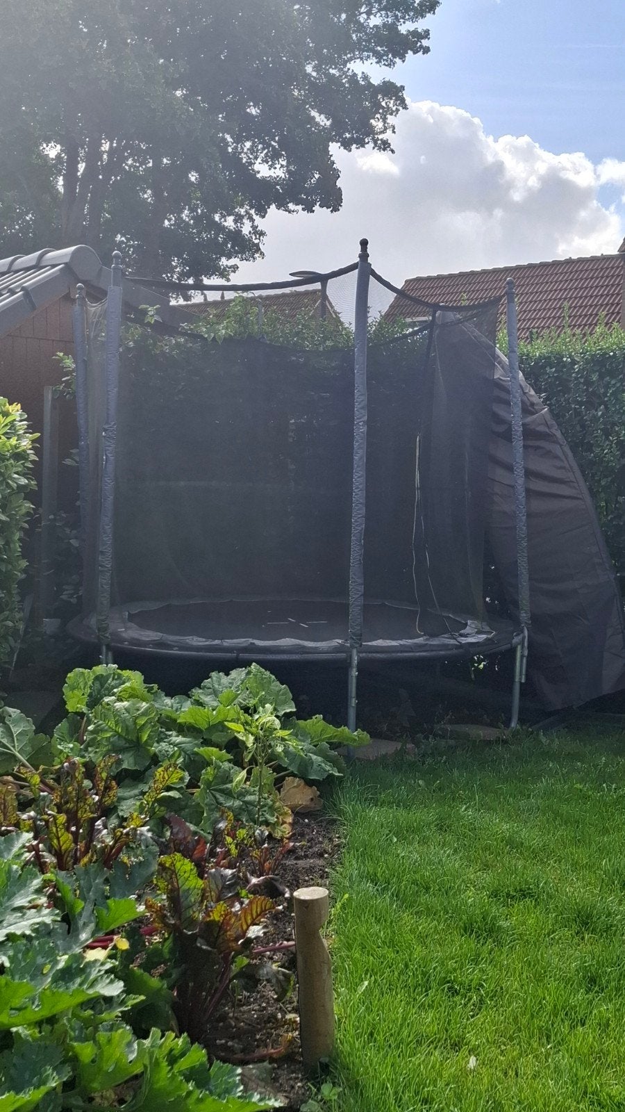Trampoline met veiligheidsnet - 250 cm, Ophalen, Gebruikt