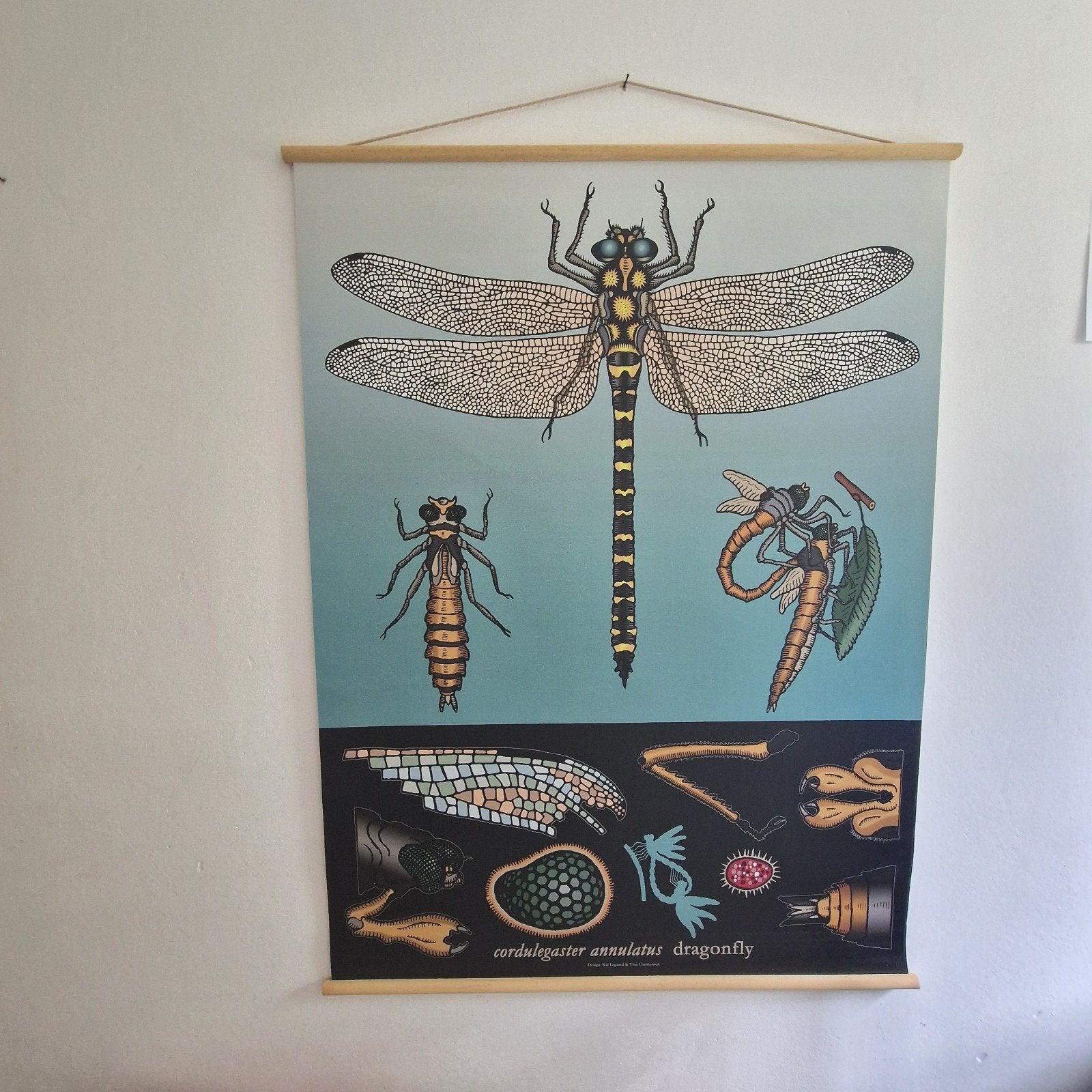 Ikea schoolplaat libelle wandkleed 1999, Ophalen of Verzenden, Natuur en Biologie