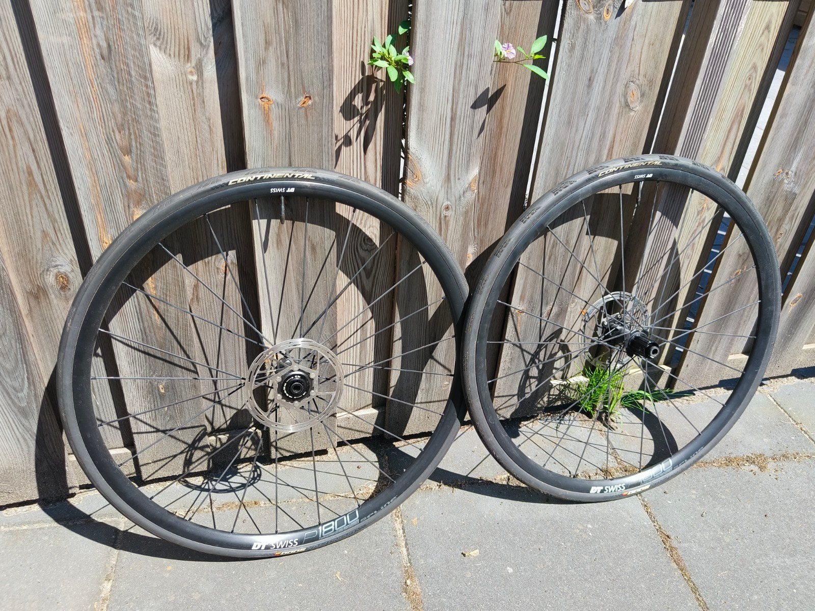 DT Swiss P1800 Spline 23 Disc racefiets wielen met banden, DT Swiss, Zo goed als nieuw, Aluminium, Racefiets