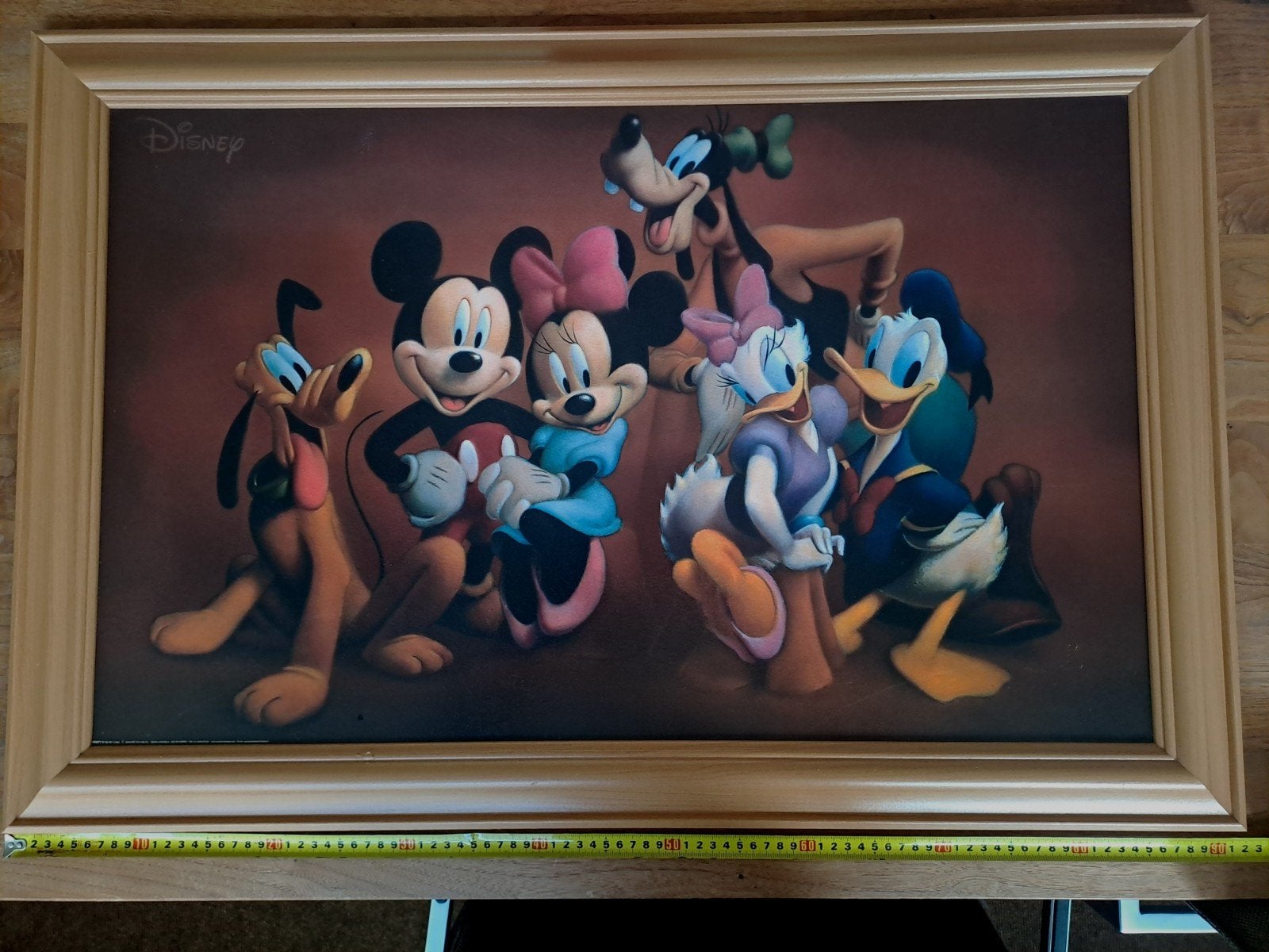 Disney Vrienden Schilderij - Mickey, Donald, Goofy & Meer, Ophalen, Gebruikt, Wanddecoratie, Meerkleurig