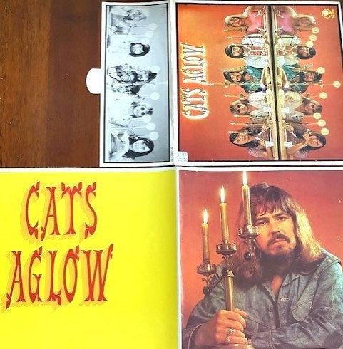 Cats/Colour us gold/Aglow met poster:gesigneerd PietVeerman, LP, Pop, Inclusief poster, Ophalen of Verzenden