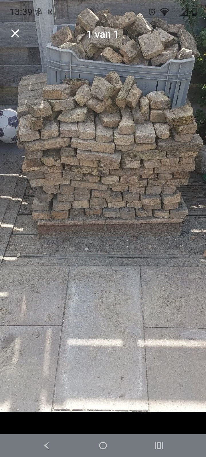 boerengeeltjes, Tuin en Terras, Tegels en Klinkers, Ophalen, Beton, Overige typen