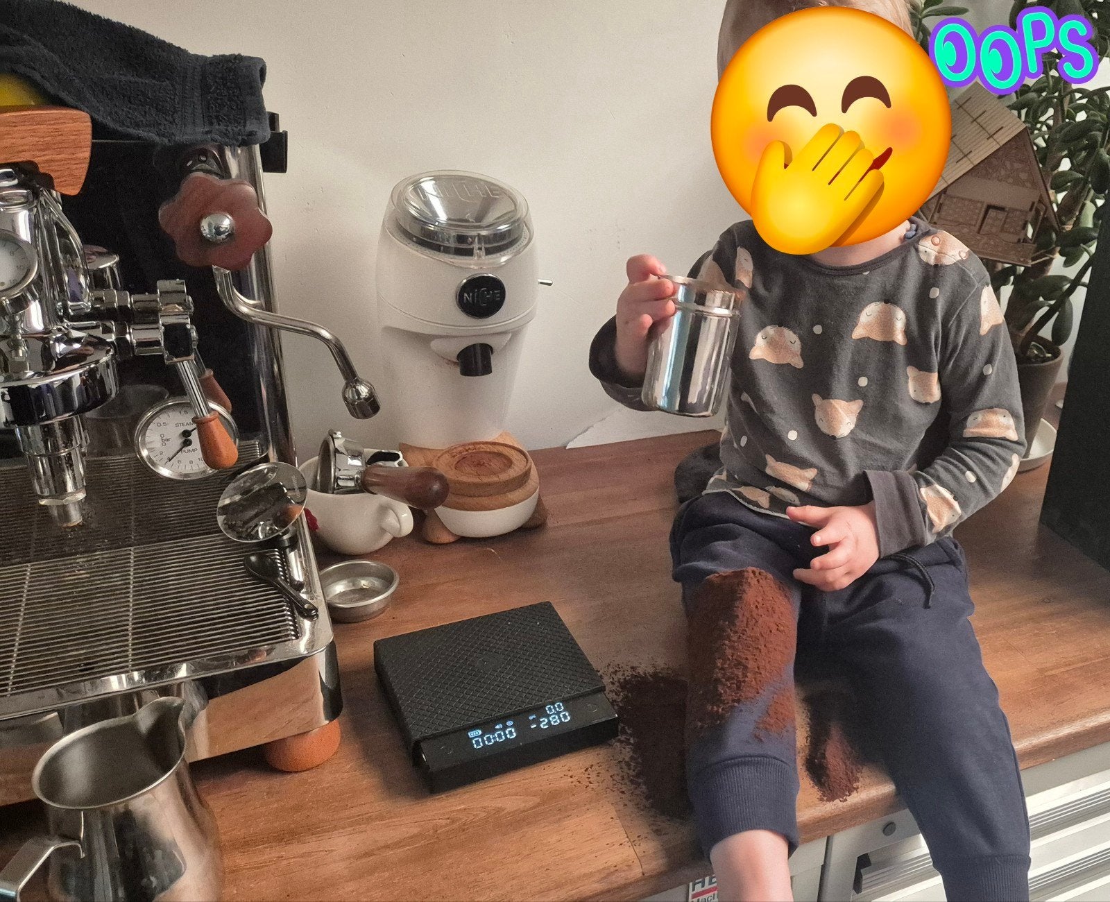 Niche Zero wit koffiemolen - single dose grinder, Overige modellen, Zo goed als nieuw, 1 kopje, Koffiebonen