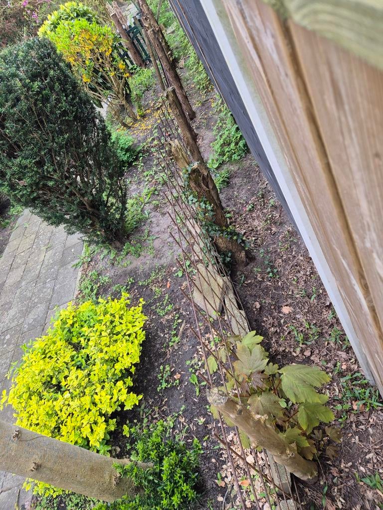 Betongaas - ca. 10-15 m2, Tuin en Terras, Ophalen, Gebruikt, 10 tot 20 meter, Gaas