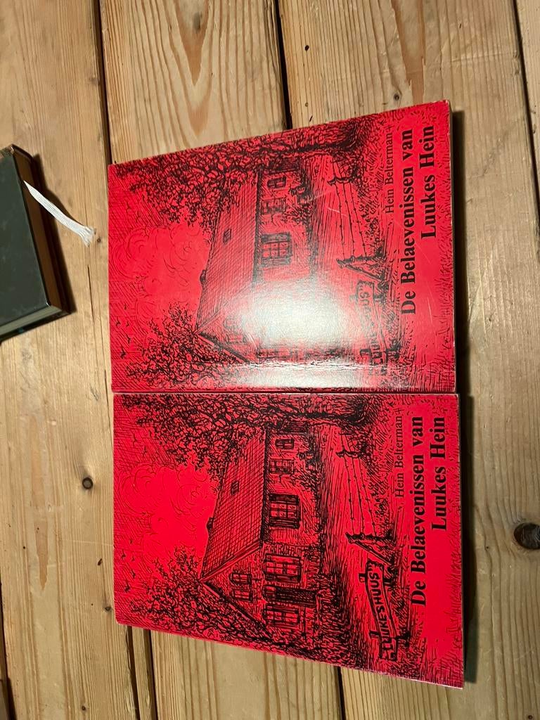 Dialect boek , de belaevenissen van luukes hein, Ophalen of Verzenden, Gelezen, Gelderland