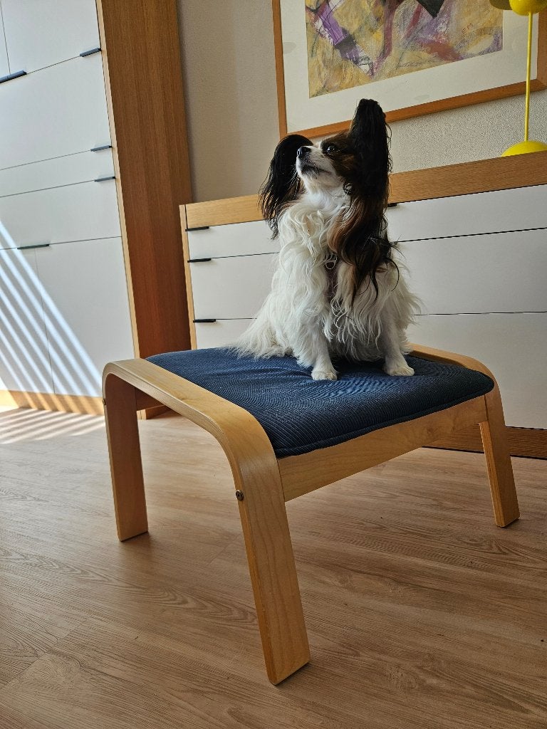 Ikea Poang voetenbank / hocker los houten frame, Ophalen, Zo goed als nieuw, Rechthoekig, 50 tot 75 cm