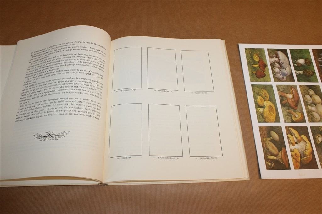Winter — Jac P. Thijsse — Heruitgave van 1919 + Plaatjesvel, Boeken, Prentenboeken en Plaatjesalbums, Ophalen of Verzenden, Gelezen