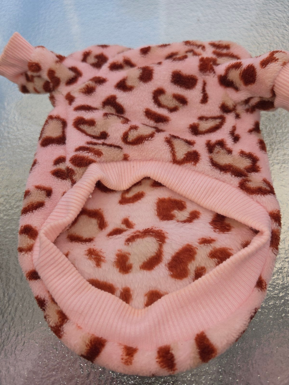 warm chihuahua truitje, Dieren en Toebehoren, Ophalen of Verzenden