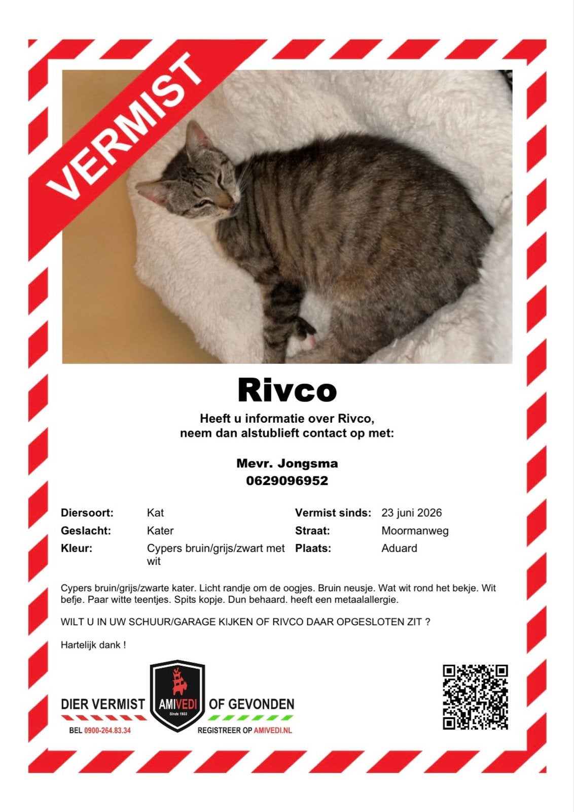 Vermist, rivco de kat, Dieren en Toebehoren, Katten en Kittens | Overige Katten, Kater