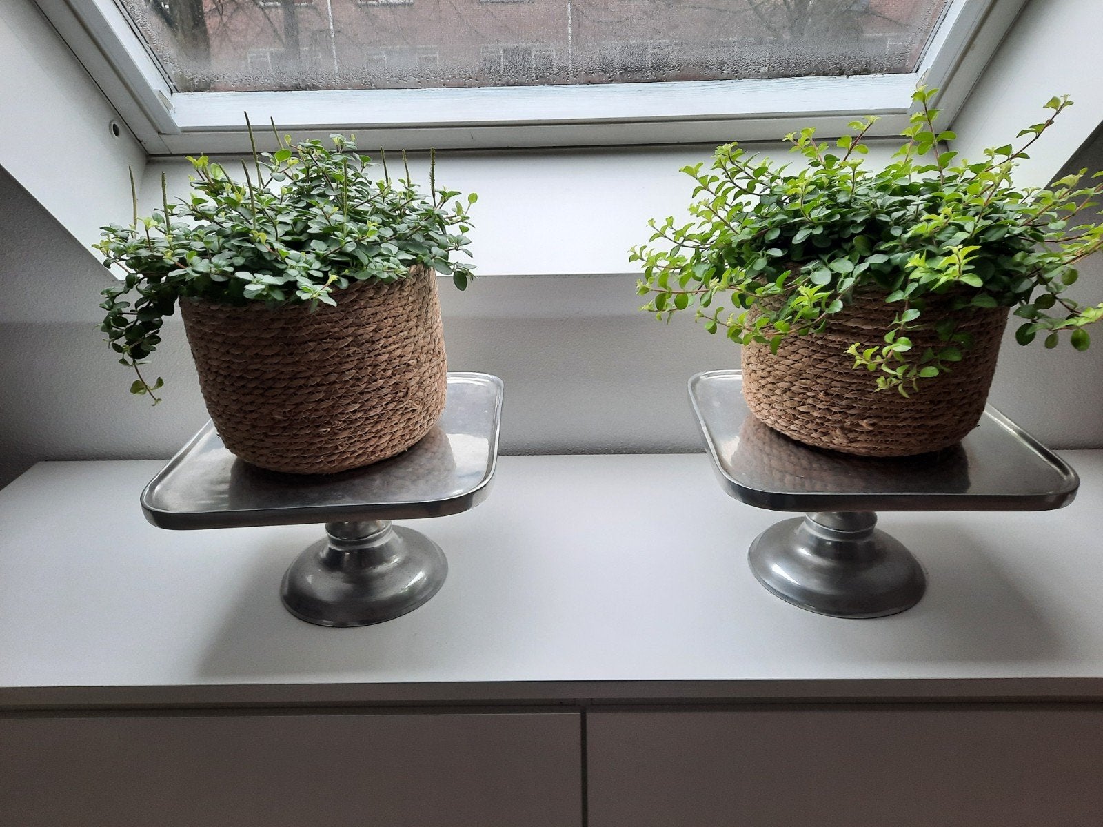Decoratieve schaal/etagere van Rivièra Maison, Ophalen, Zo goed als nieuw, Vierkant, Overige materialen