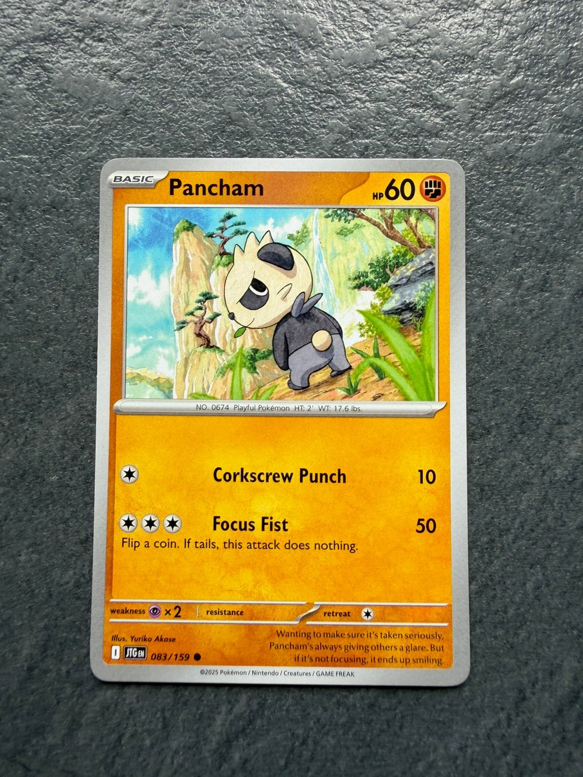 Pancham, Ophalen of Verzenden, Zo goed als nieuw