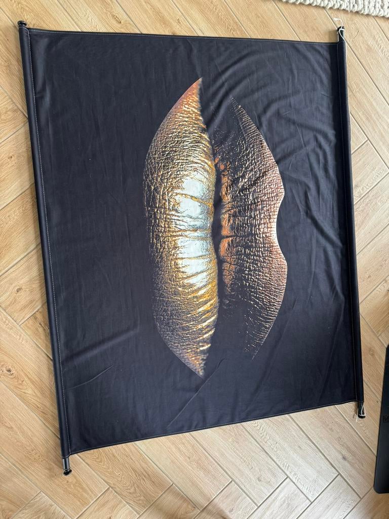 Kuster Style textielposter gouden lippen, Ophalen, Zo goed als nieuw