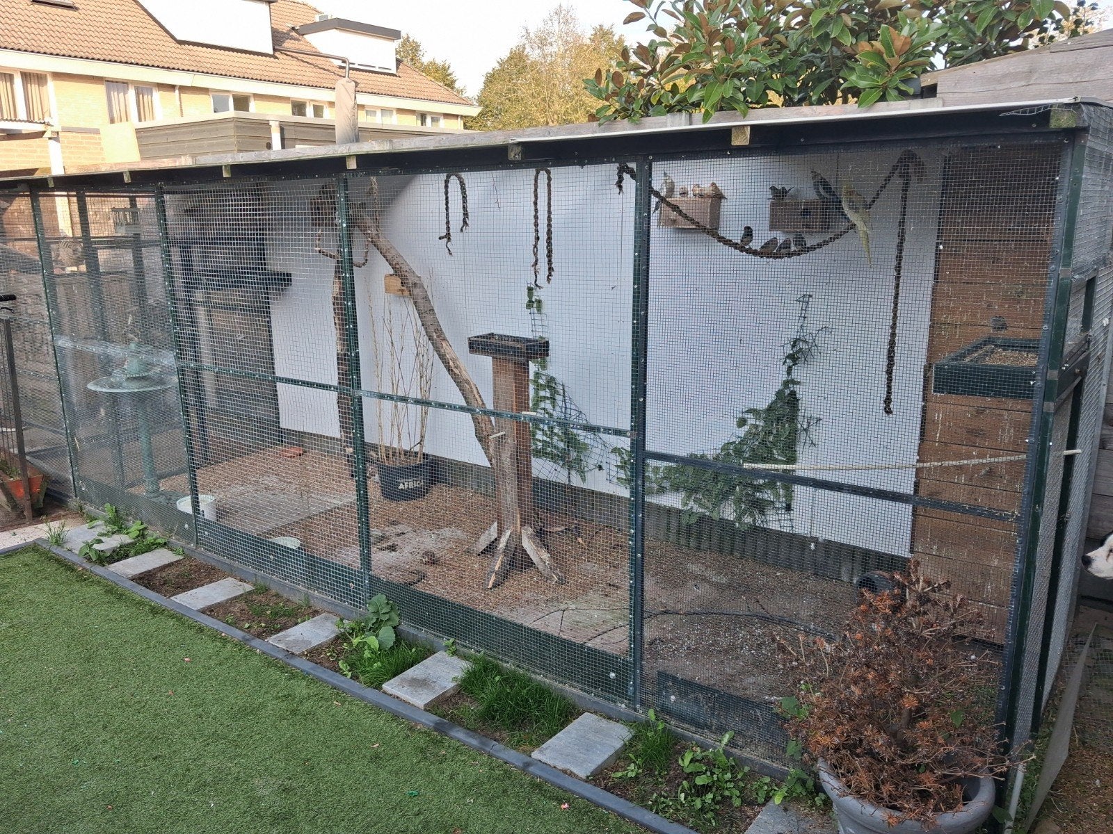 volière, Dieren en Toebehoren, Ophalen of Verzenden, Gebruikt, Aluminium, Volière