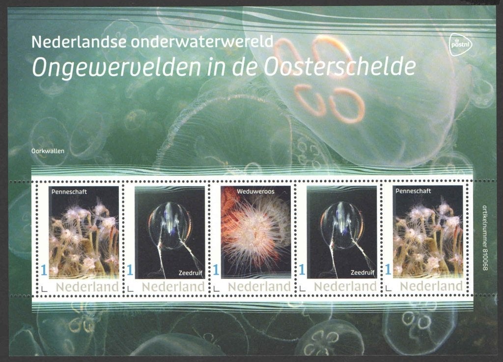 Nederlandse Onderwaterwereld: Ongewervelden Oosterschelde, Ophalen of Verzenden, Na 1940, Postfris