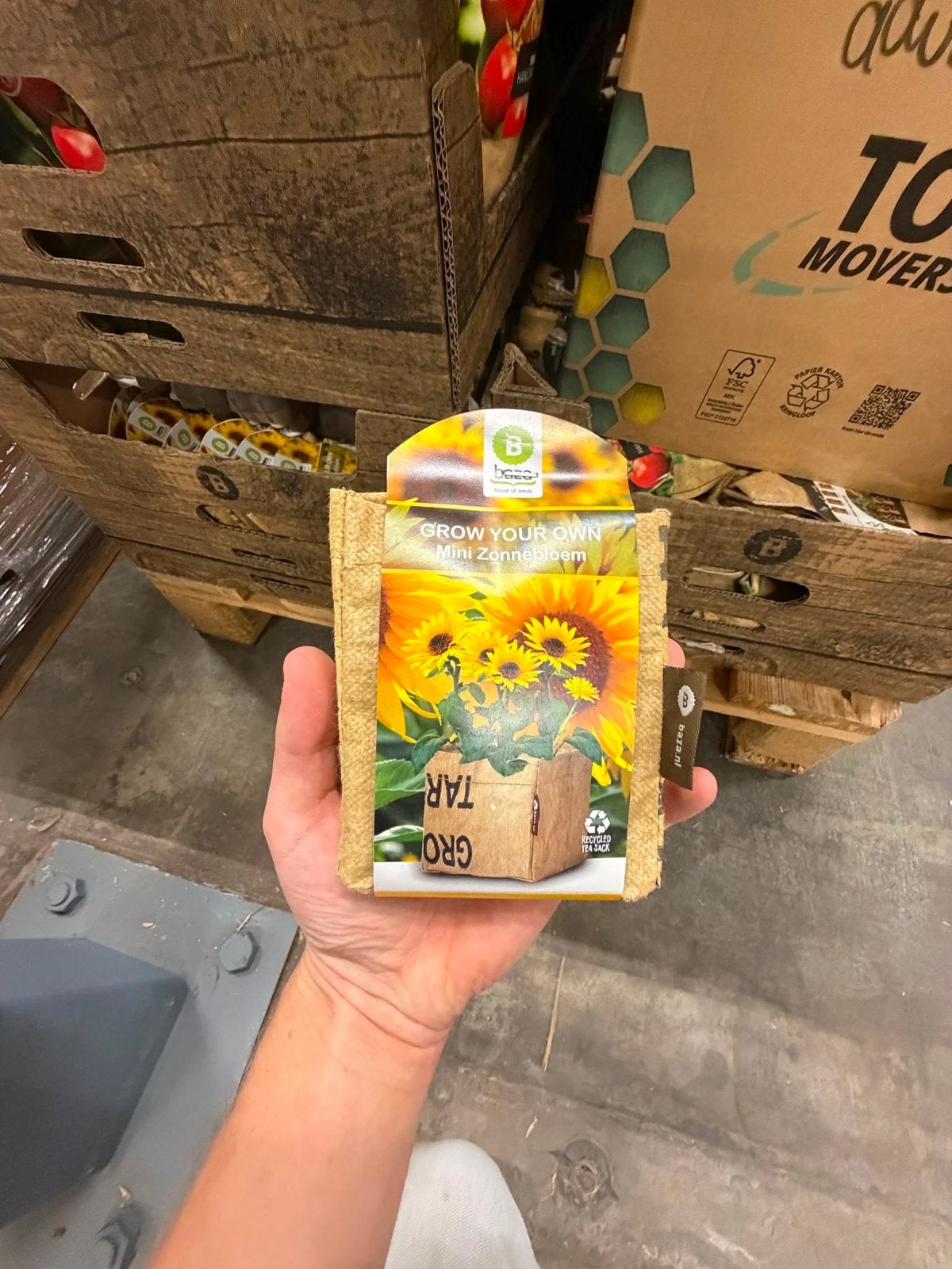 Leuke plantjes en bijenhotels voor de vrijmarkt, Ophalen of Verzenden, Voorjaar, Volle zon, Zaad
