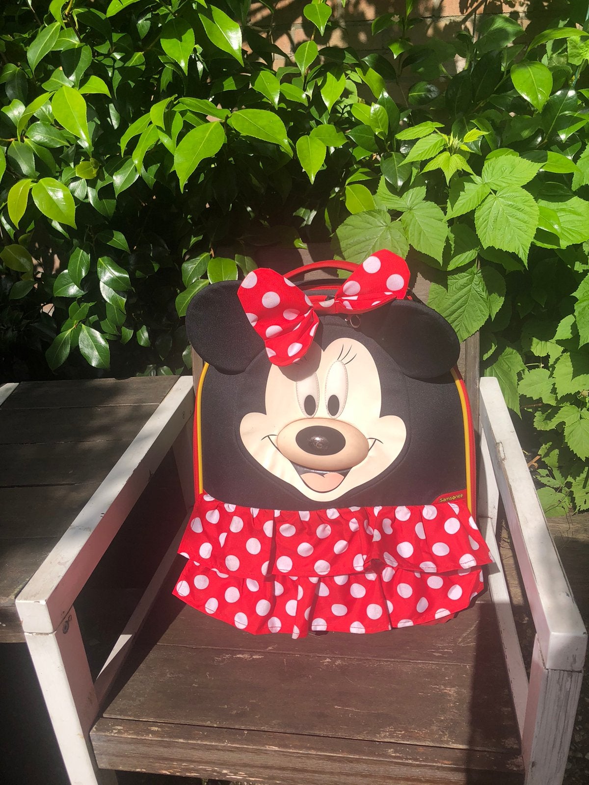 Samsonite minnie moyse cabin koffer, Ophalen