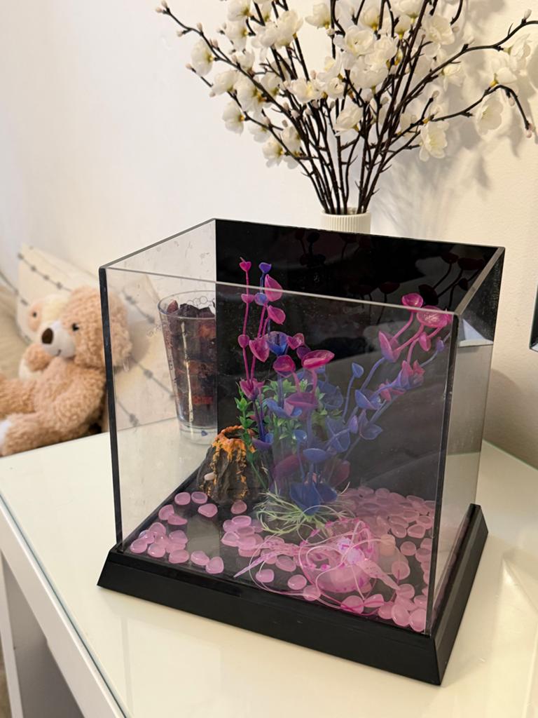 Vissenkom, Ophalen of Verzenden, Zo goed als nieuw, Leeg aquarium