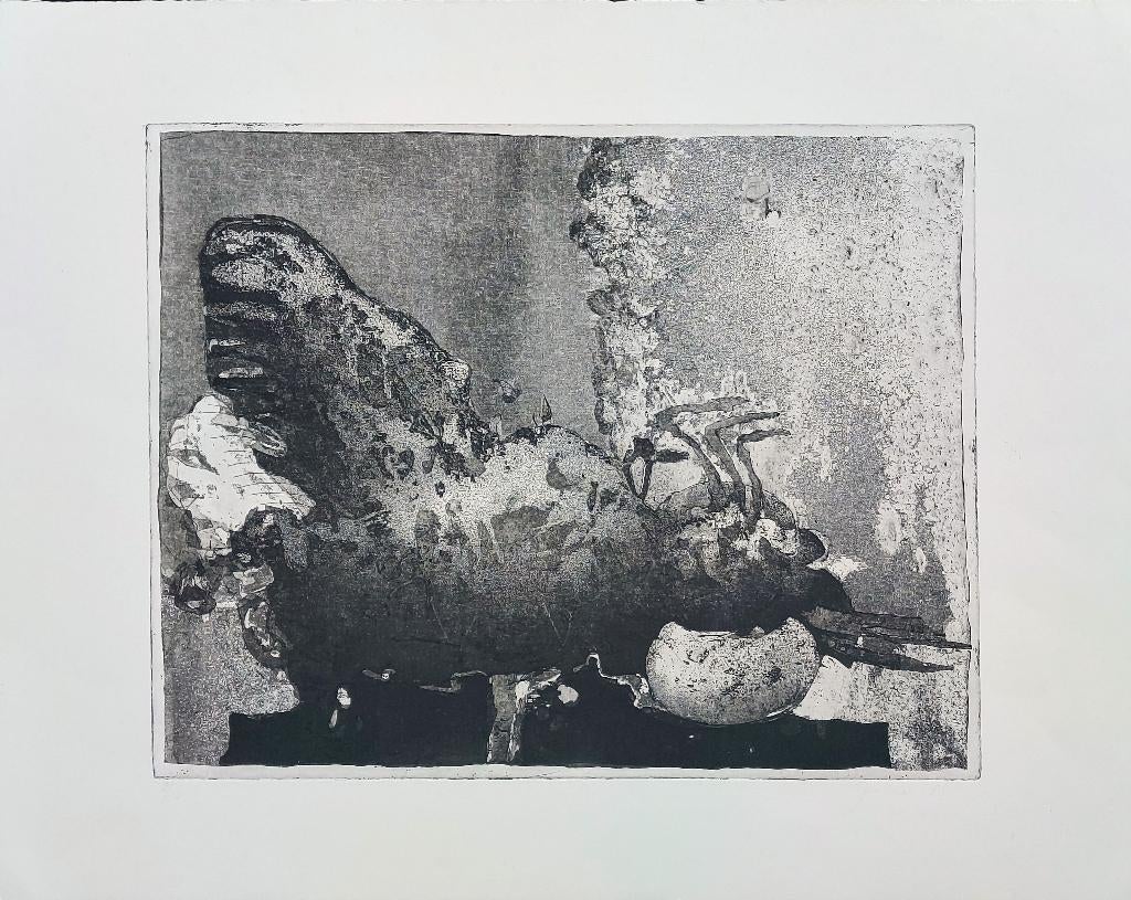 Abstract 2/10 - Kunstenaar: Jan Prins, Gesigneerd, 50 cm, 1950 - 1999, Ets